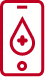 IV. Adım